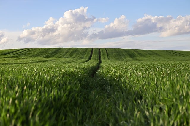 EDTA Chelates for Industrial Applications: A Chemical Engineer’s Guide